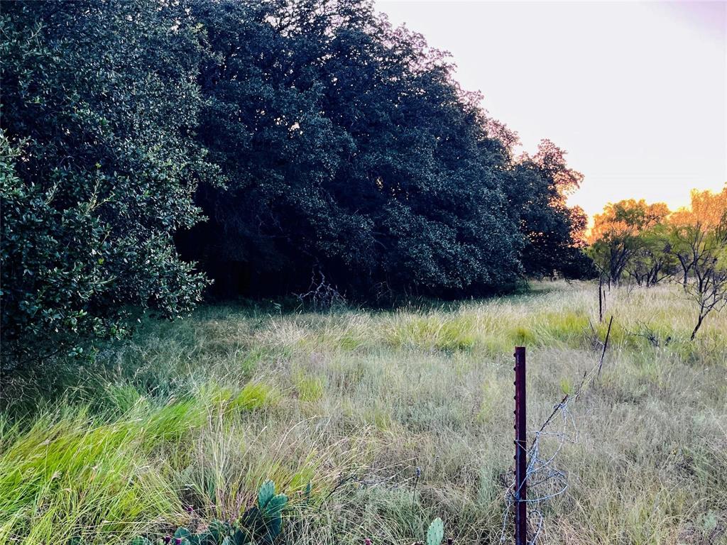701 County Road 319 Early, TX 76802 - Photo 26 of 33 View of undeveloped land