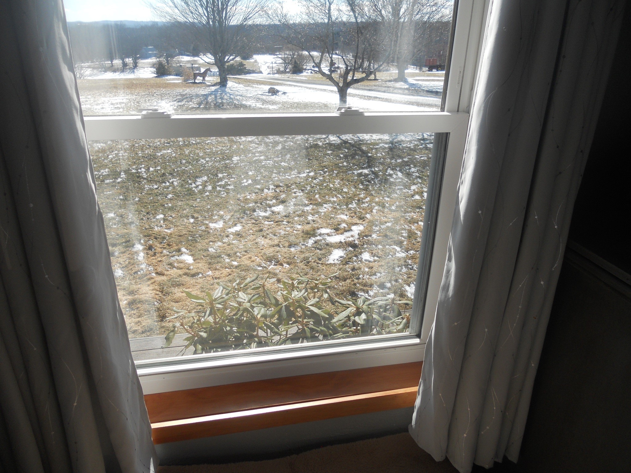 114 Fred Catlin Road Owego, NY 13827 - Photo 17 of 49