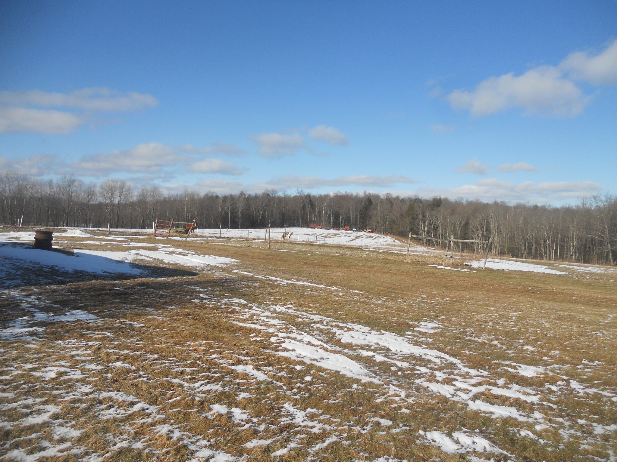 114 Fred Catlin Road Owego, NY 13827 - Photo 26 of 49