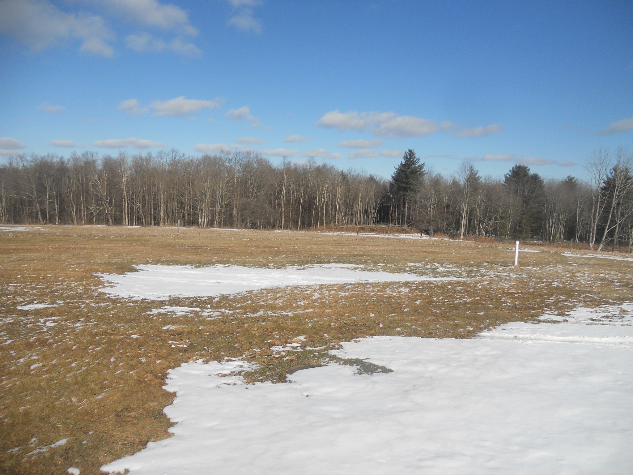 114 Fred Catlin Road Owego, NY 13827 - Photo 28 of 49