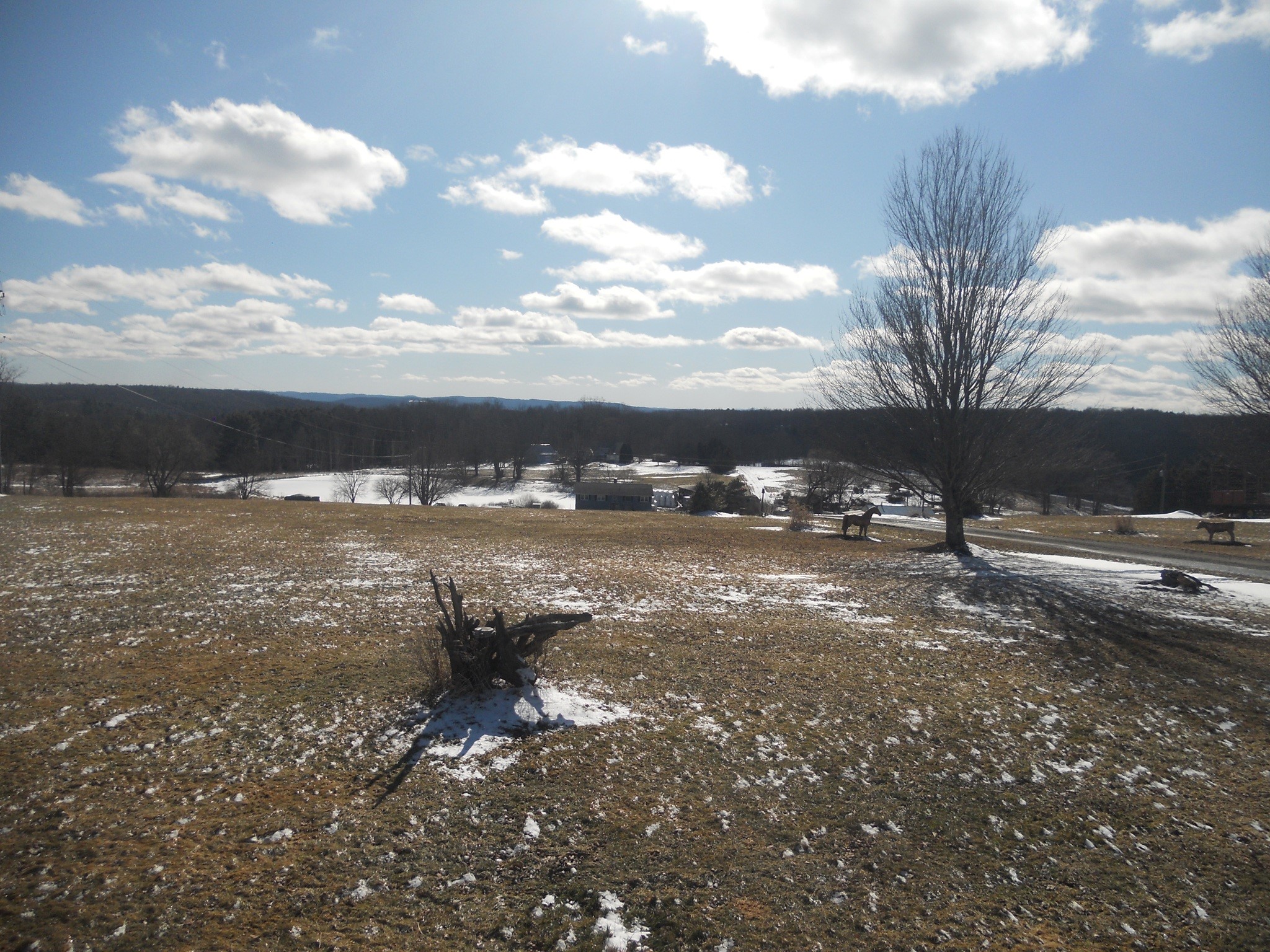 114 Fred Catlin Road Owego, NY 13827 - Photo 31 of 49