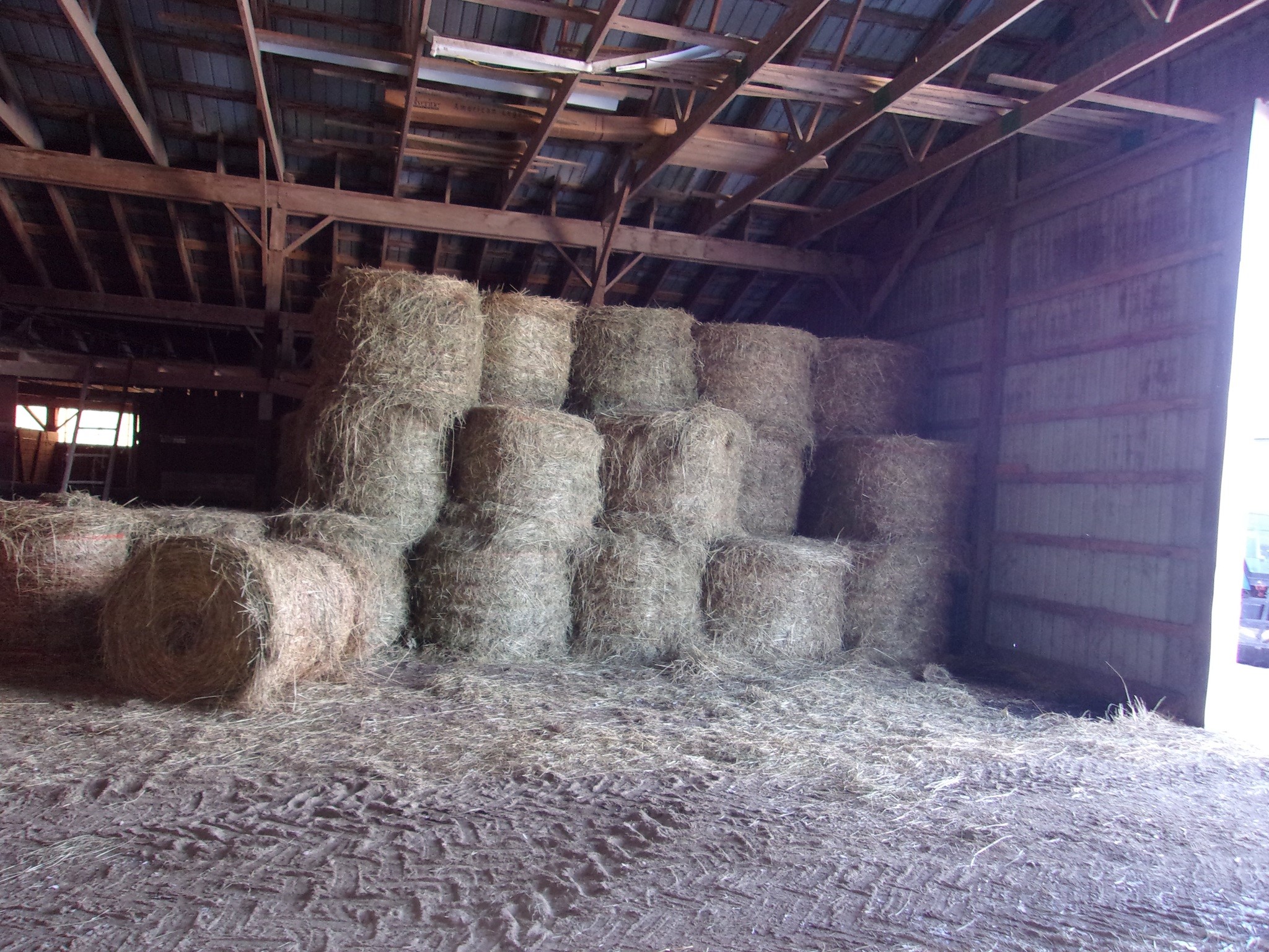 114 Fred Catlin Road Owego, NY 13827 - Photo 35 of 49