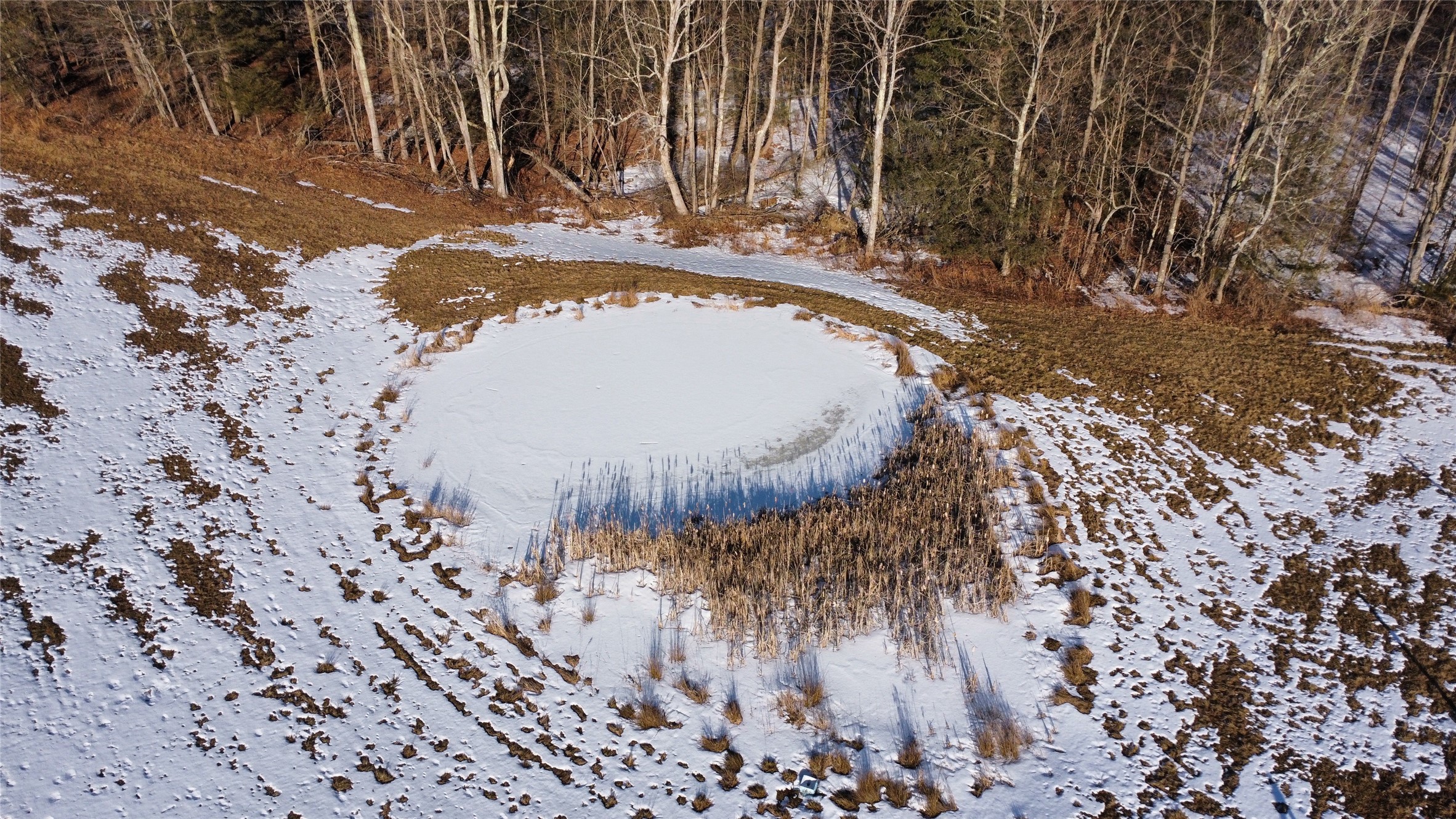 114 Fred Catlin Road Owego, NY 13827 - Photo 41 of 49