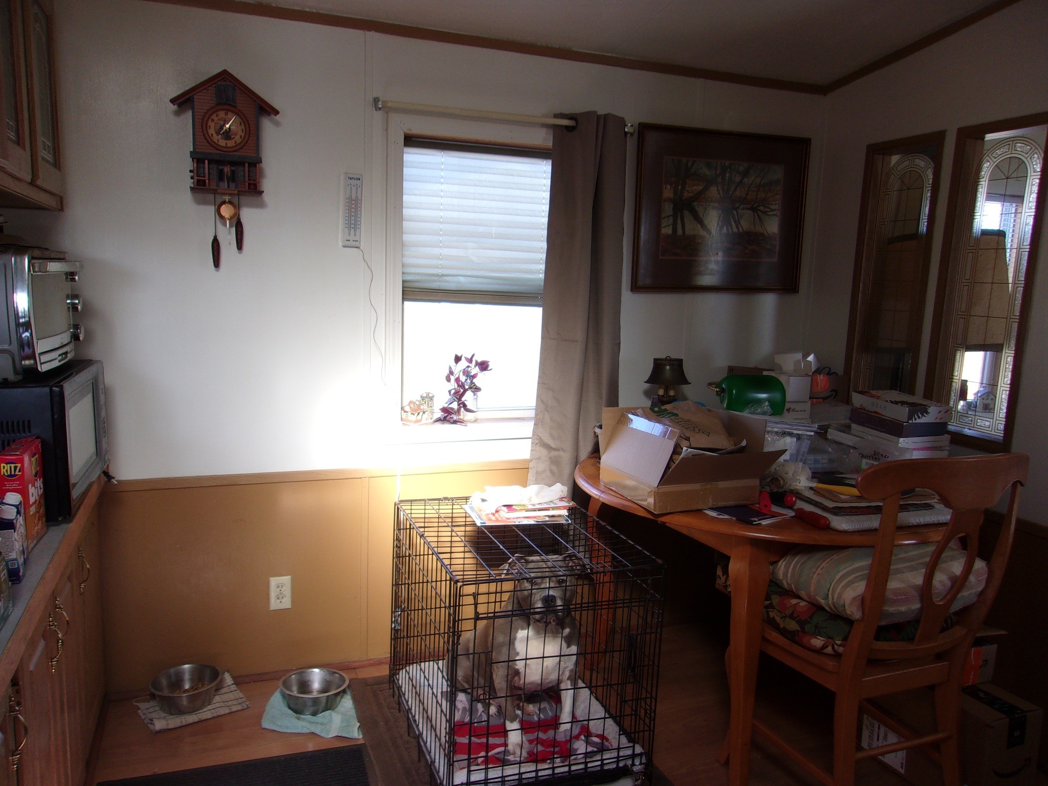 114 Fred Catlin Road Owego, NY 13827 - Photo 45 of 49