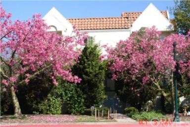 433 East Duarte Road, Unit A Arcadia, CA 91006 - Photo 1 of 1 Gallery Image 1