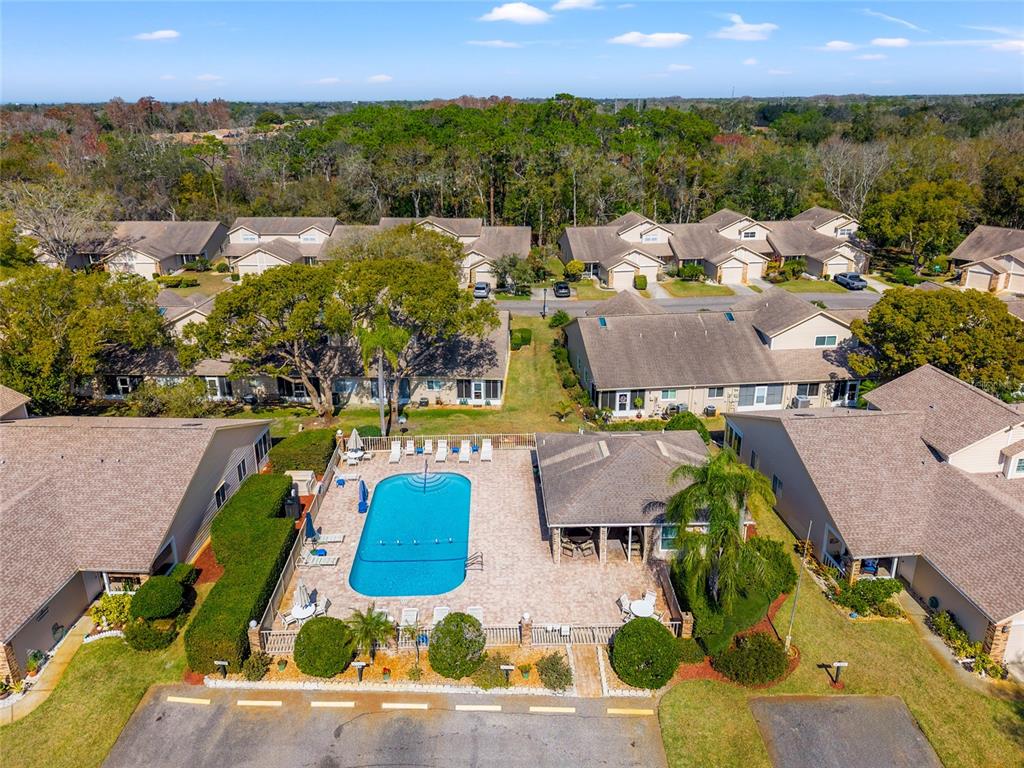 6428 Thicket Trail New Port Richey, FL 34653 - Photo 26 of 29