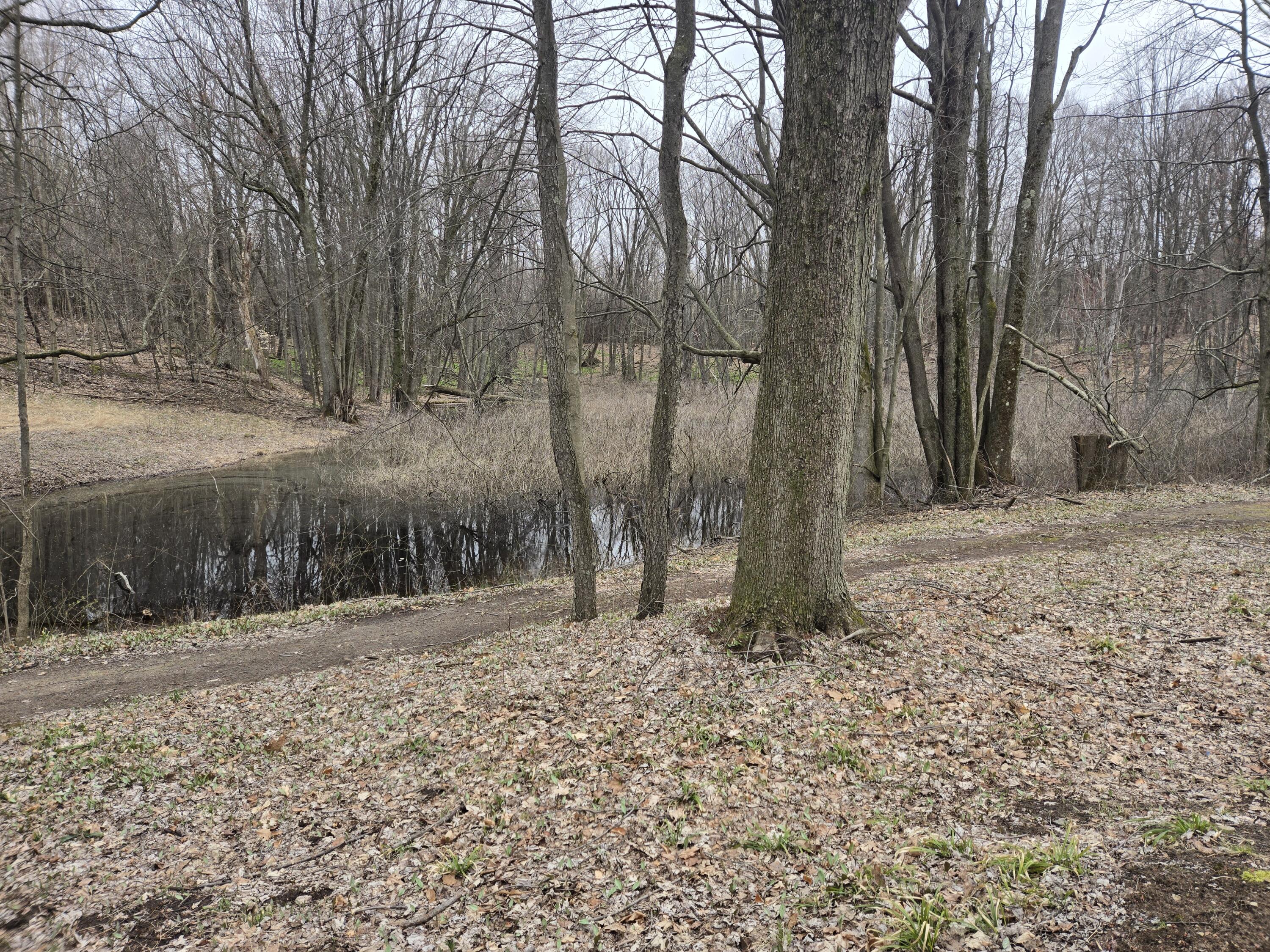 Vl Warren Road Shelby, MI 49455 - Photo 15 of 26 20250415_172743