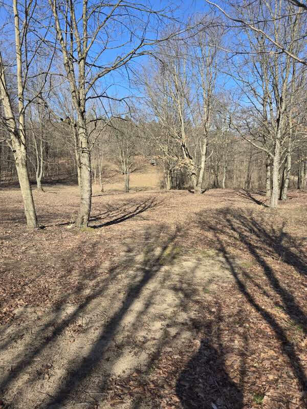 Vl Warren Road Shelby, MI 49455 - Photo 16 of 26 20250404_103449