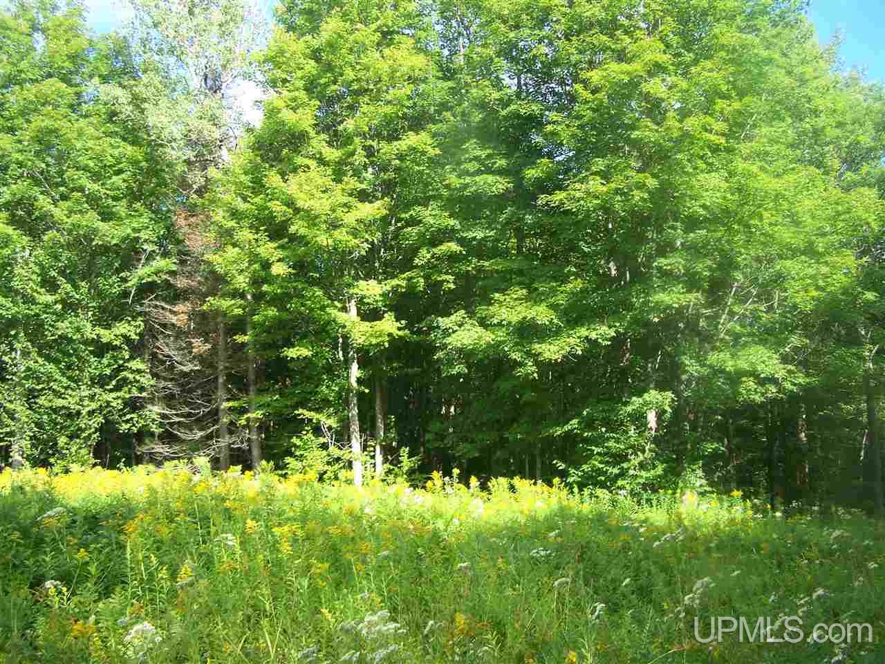 C-wi Park Road Hurley, WI 54534 - Photo 21 of 27
