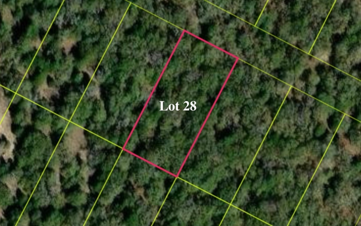 131 Los Robles Road Elgin, TX 78621 - Photo 4 of 6 a picture of a tree