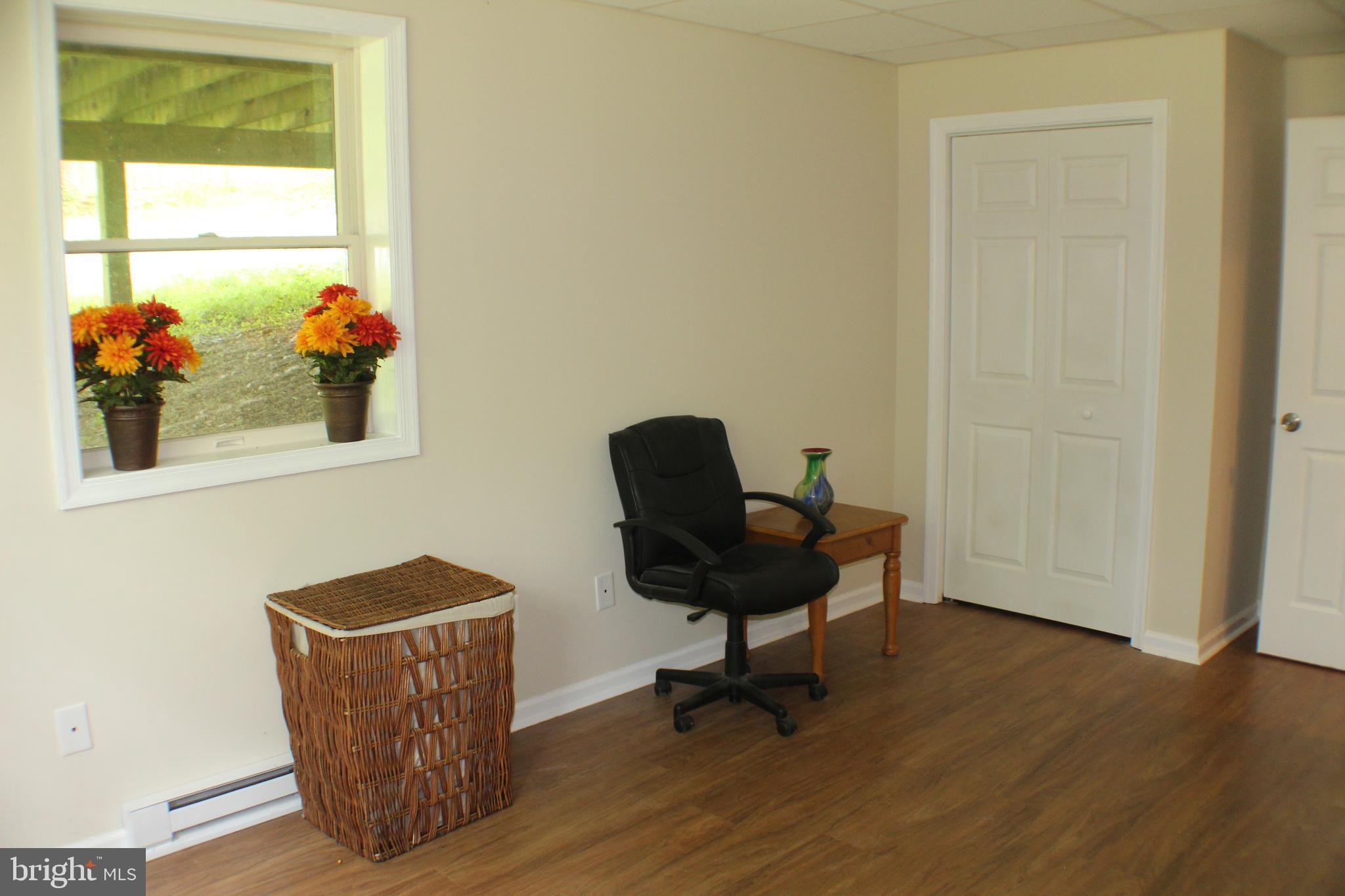 7738 Talbot Run Road Mount Airy, MD 21771 - Photo 28 of 36 Basement Bedroom with 3 windows