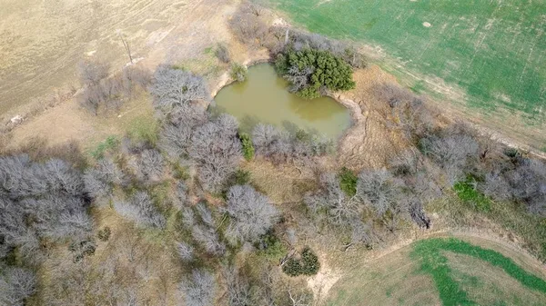 a view of a lake in a forest