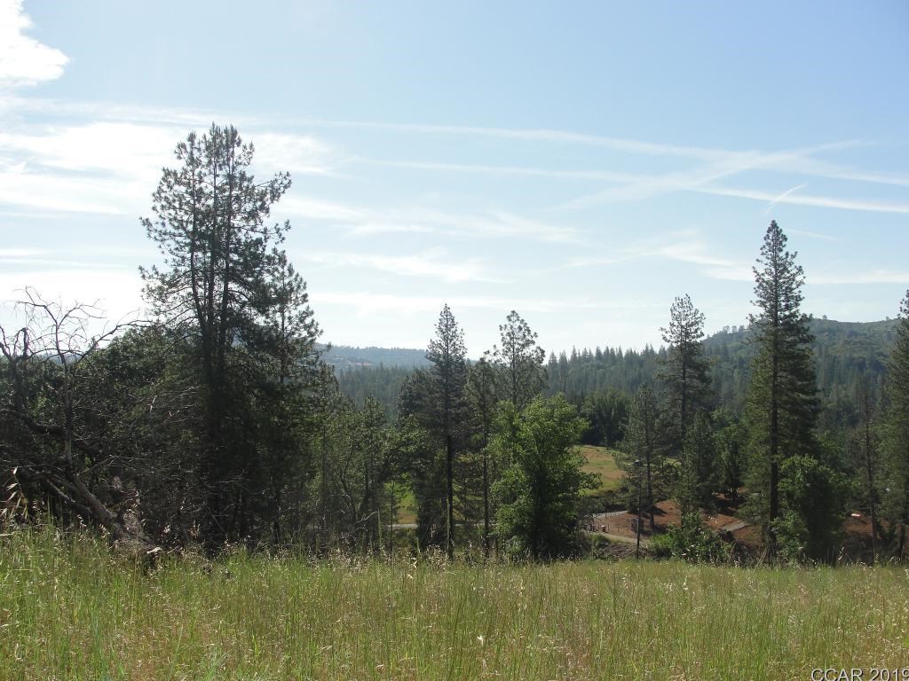 5102 Railroad Flat Road Mountain Ranch, CA 95246 - Photo 1 of 1 a view of river covered by trees and trees