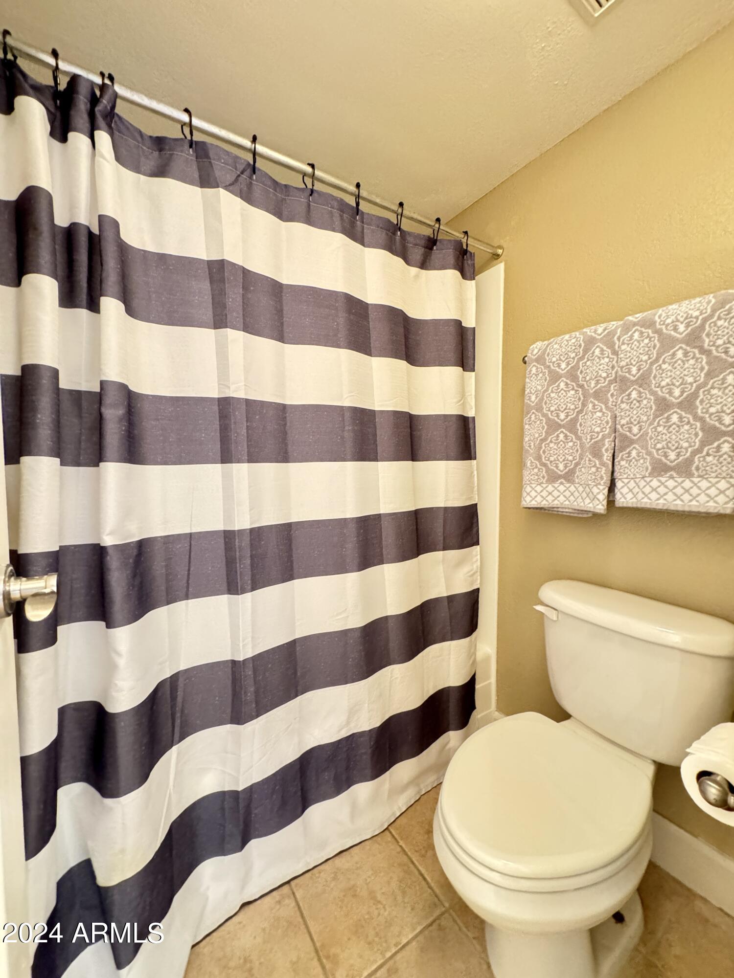 3825 East Camelback Road, Unit 124 Phoenix, AZ 85018 - Photo 10 of 29 Bath