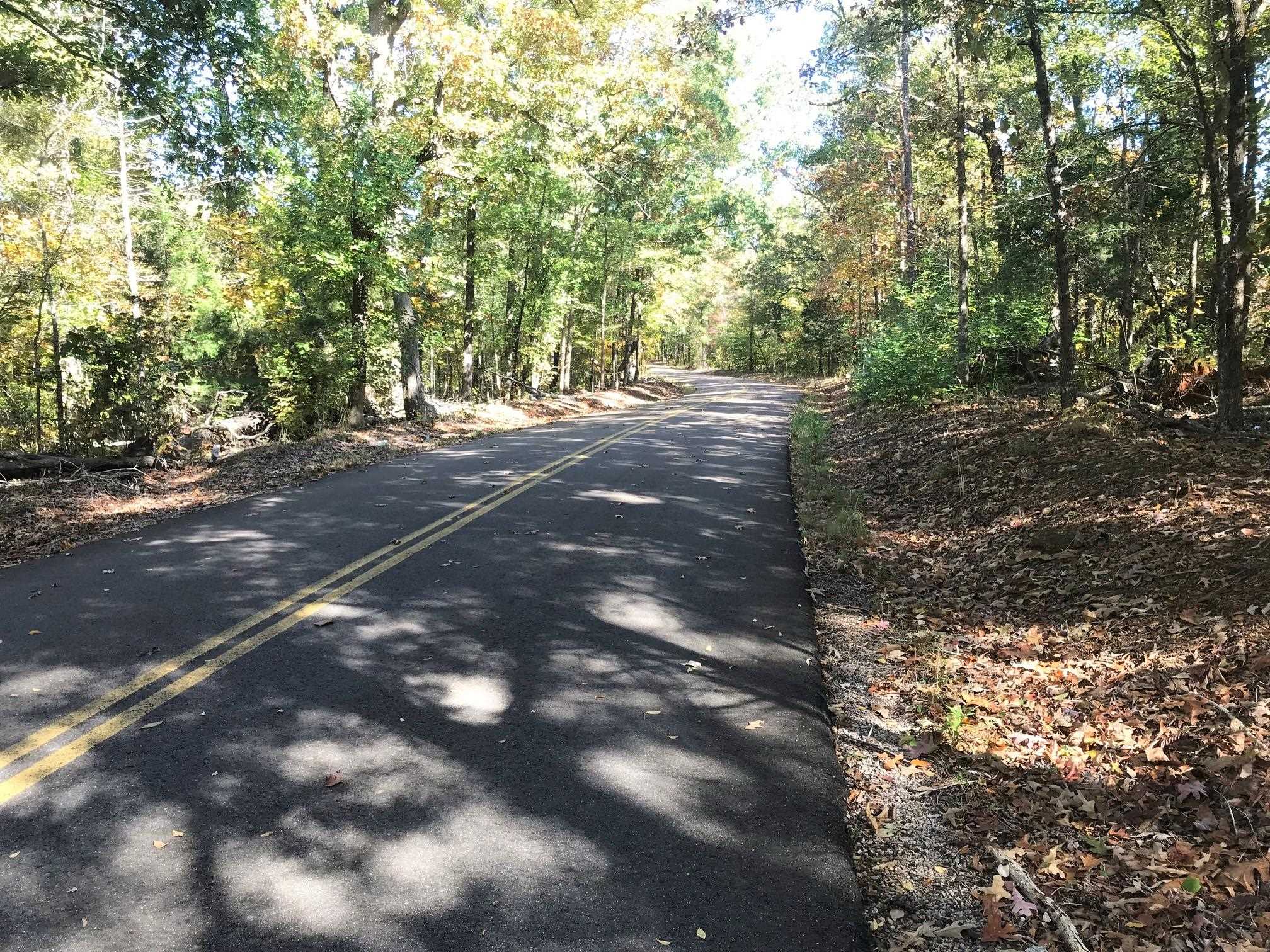 Gravel Hill Road Guys, TN 38339 - Photo 4 of 5