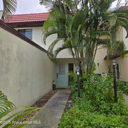 a potted plant sitting in front of a house