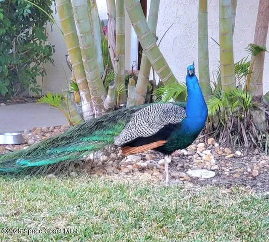 $5,000 | 8761 Ilex Court, Cape Canaveral, FL 32920