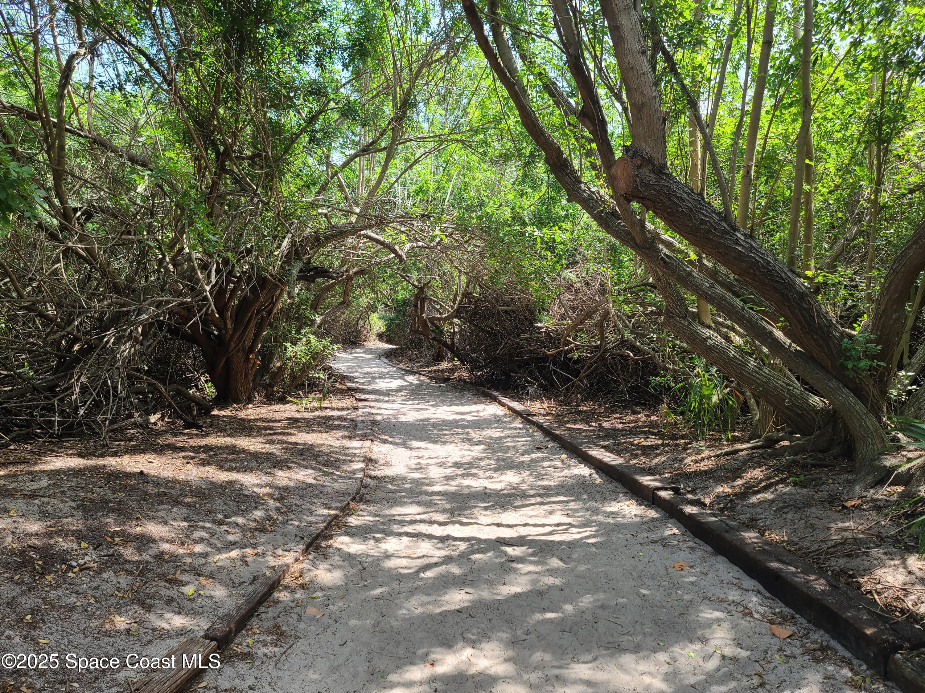 8761 Ilex Court Cape Canaveral, FL 32920 - Photo 36 of 41 a view of a road with trees in the background