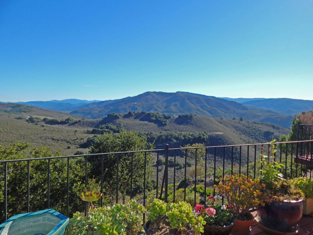 25530 Vía Paloma Carmel, CA 93923 - Photo 16 of 23 a view of a garden from a balcony