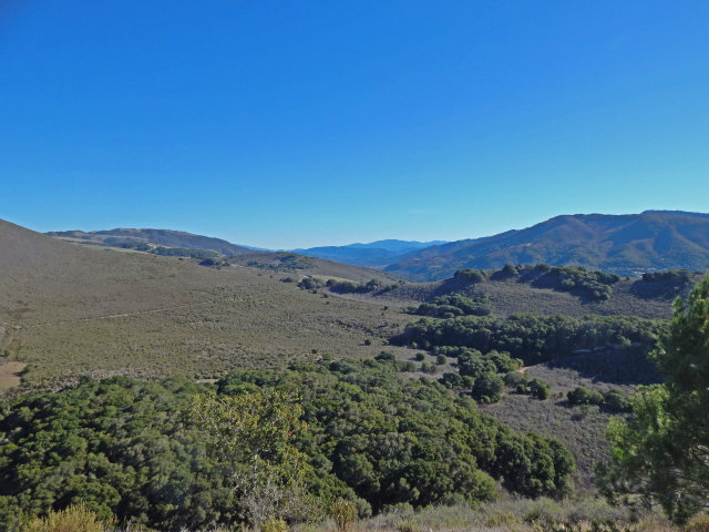 25530 Vía Paloma Carmel, CA 93923 - Photo 22 of 23 a view of a forest with mountains in the background