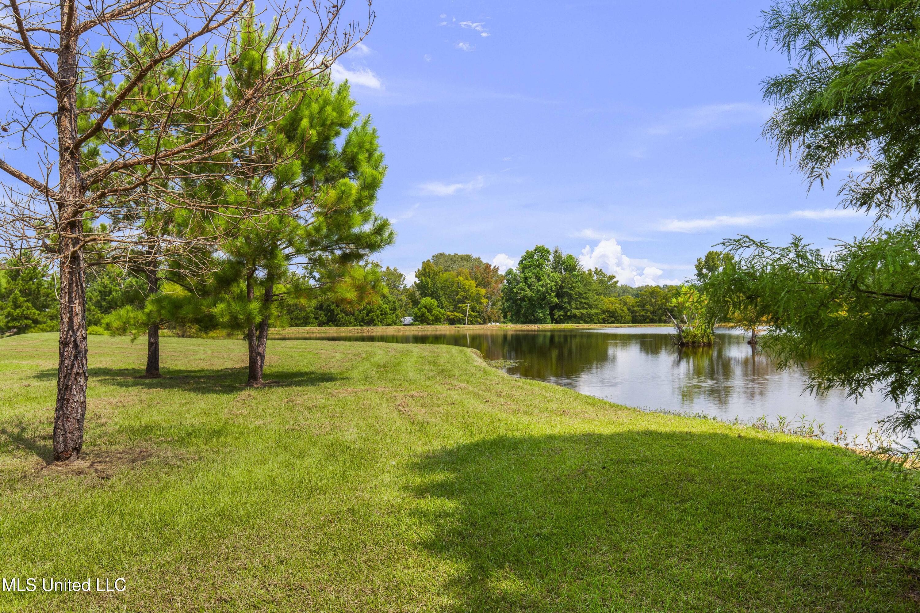5550 Springridge Road Raymond, MS 39154 - Photo 105 of 132 5550 Spring Ridge-108