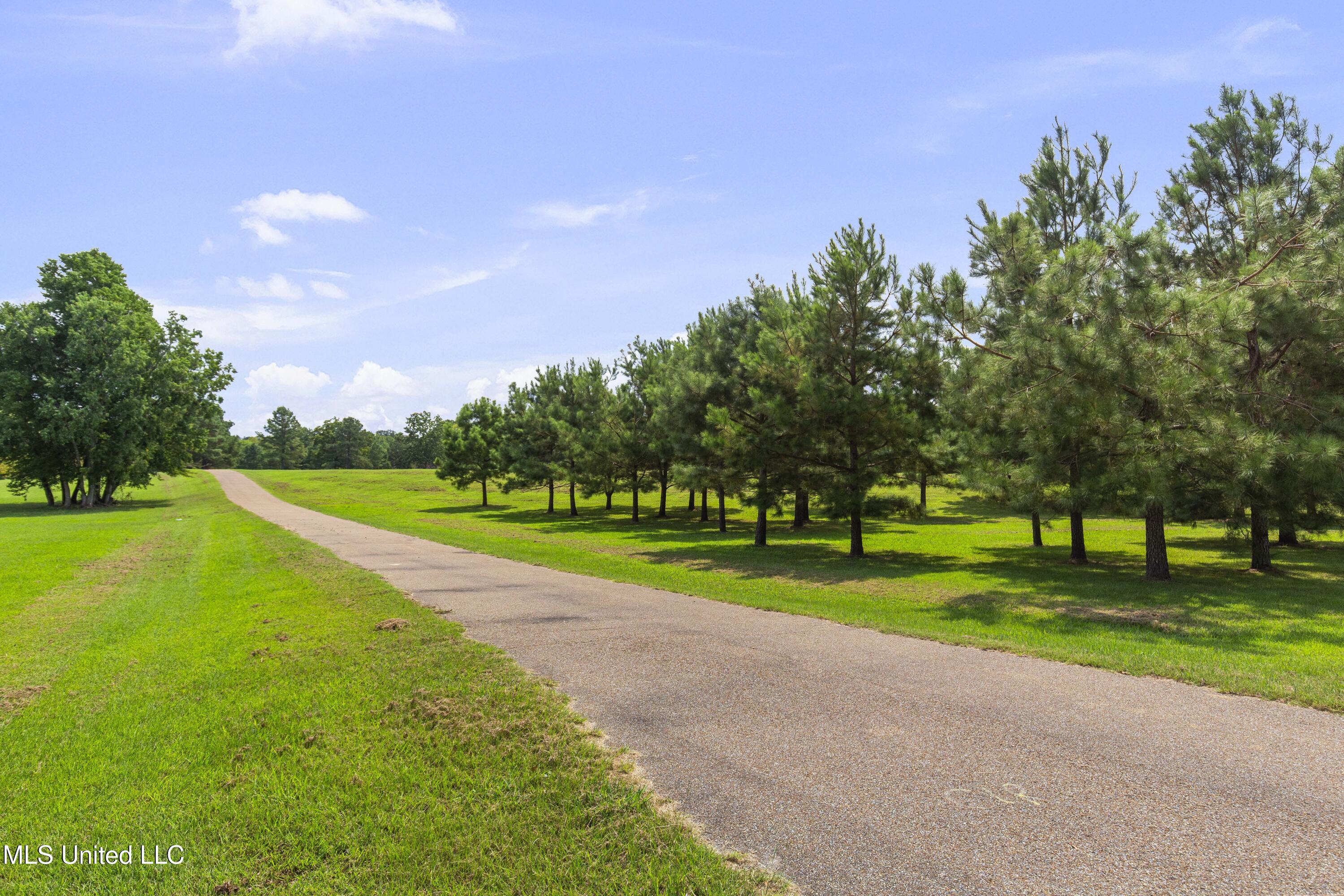 5550 Springridge Road Raymond, MS 39154 - Photo 108 of 132 5550 Spring Ridge-111