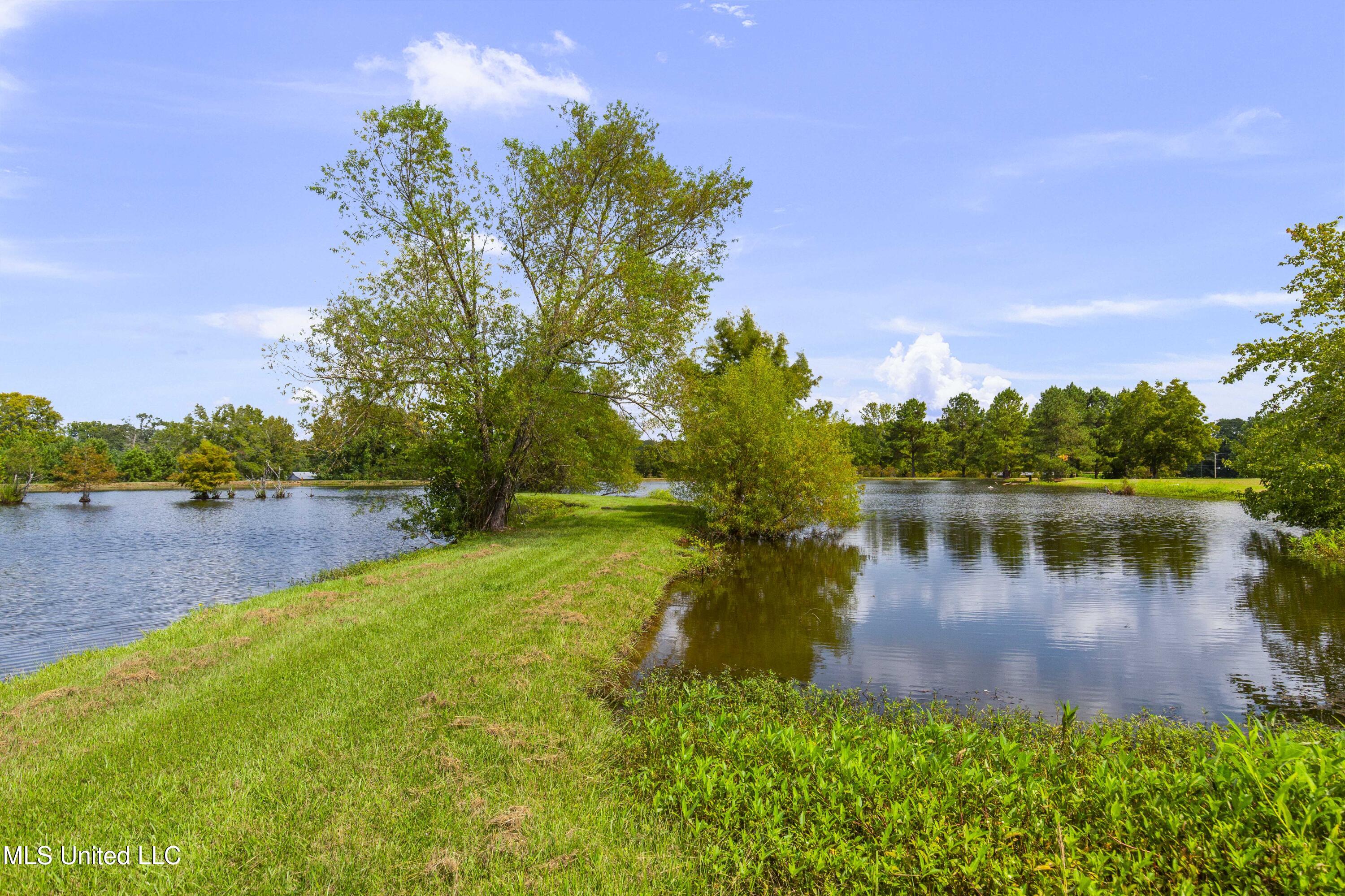 5550 Springridge Road Raymond, MS 39154 - Photo 97 of 132 5550 Spring Ridge-99