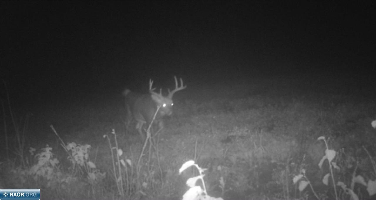 Tbd Mud Hole Road Side Lake, MN 55781 - Photo 20 of 24