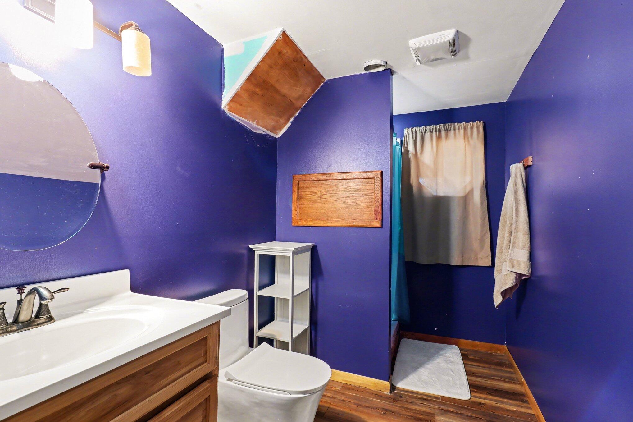 22848 13 Mile Road Big Rapids, MI 49307 - Photo 21 of 22 basement bathroom