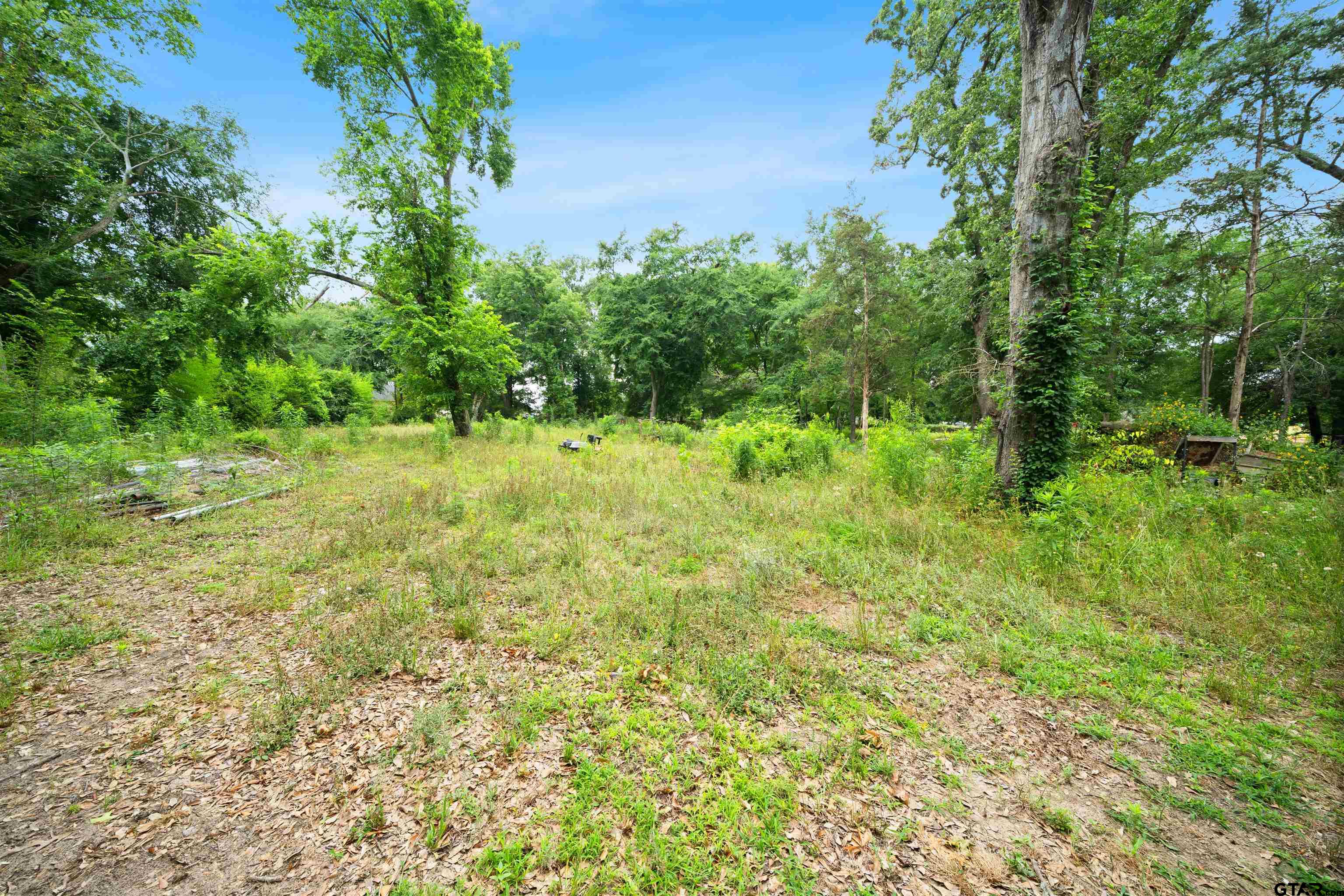 2425 Thompson Lane Tyler, TX 75704 - Photo 3 of 27 a fire hydrant in the middle of a field