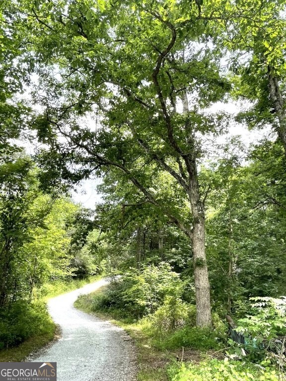 0 Stewart Road Dunlap, TN 37379 - Photo 9 of 12