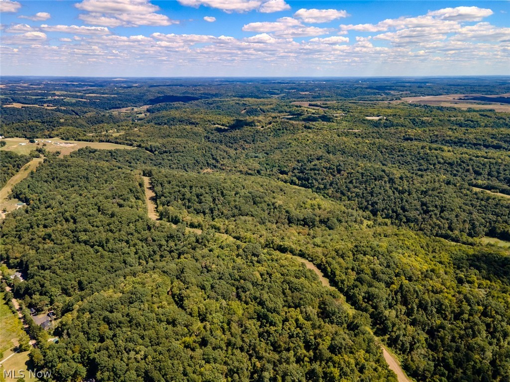 0 Brewer Road Cadiz, OH 43907 - Photo 27 of 37 Drone / aerial view of a forest
