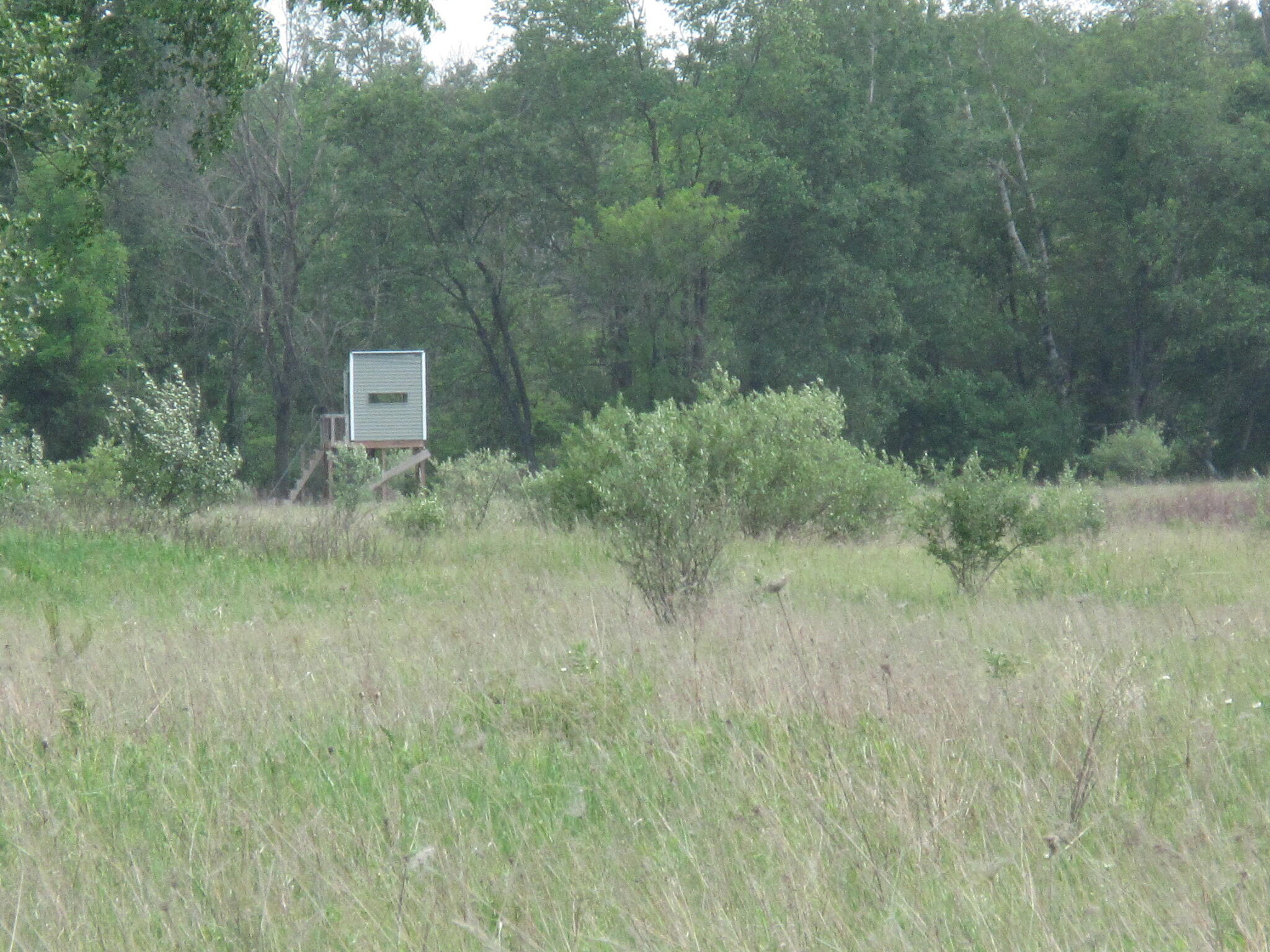 Six Musson Road Edmore, MI 48829 - Photo 5 of 8 IMG_0497