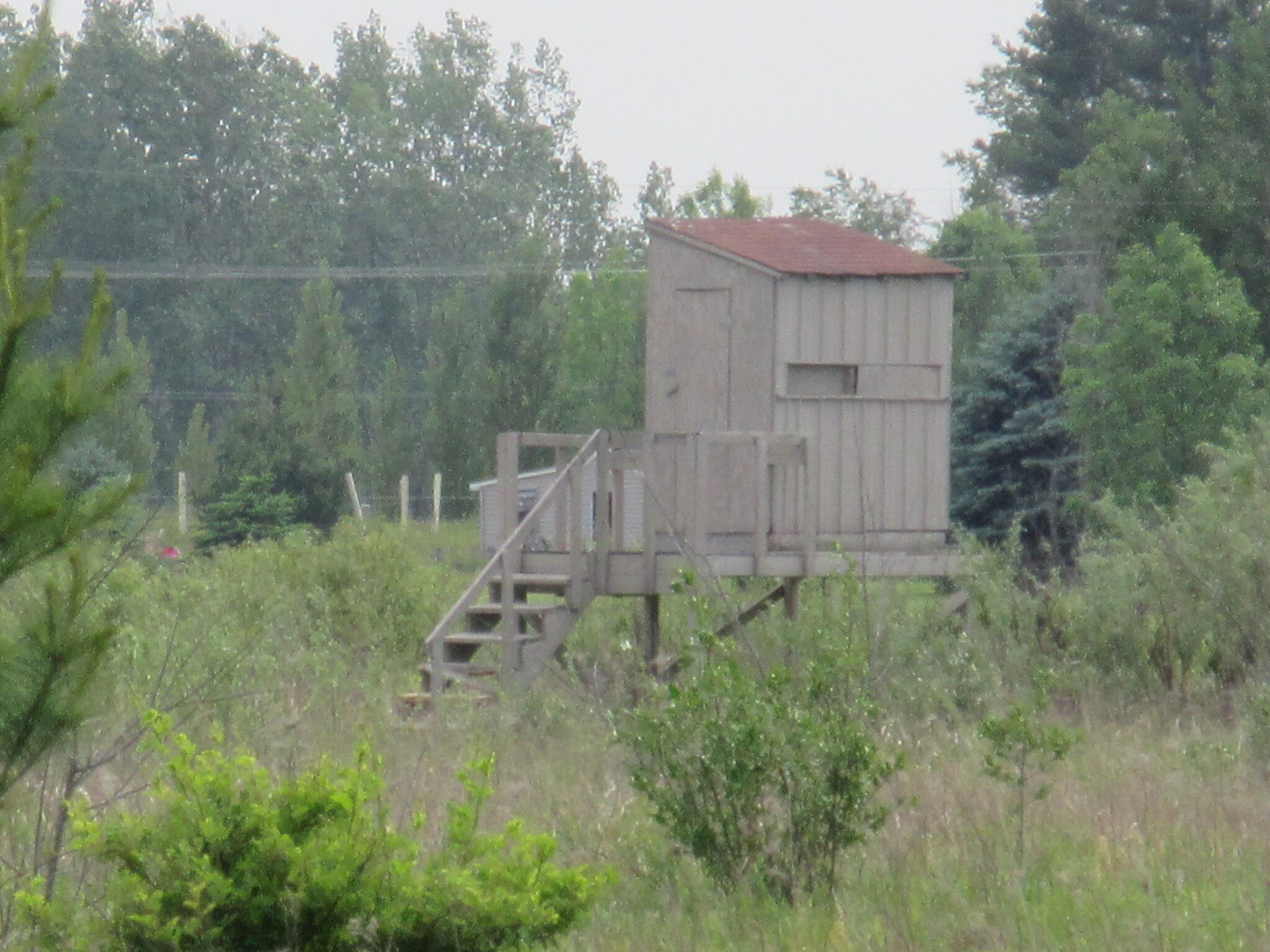 Six Musson Road Edmore, MI 48829 - Photo 6 of 8 IMG_0498