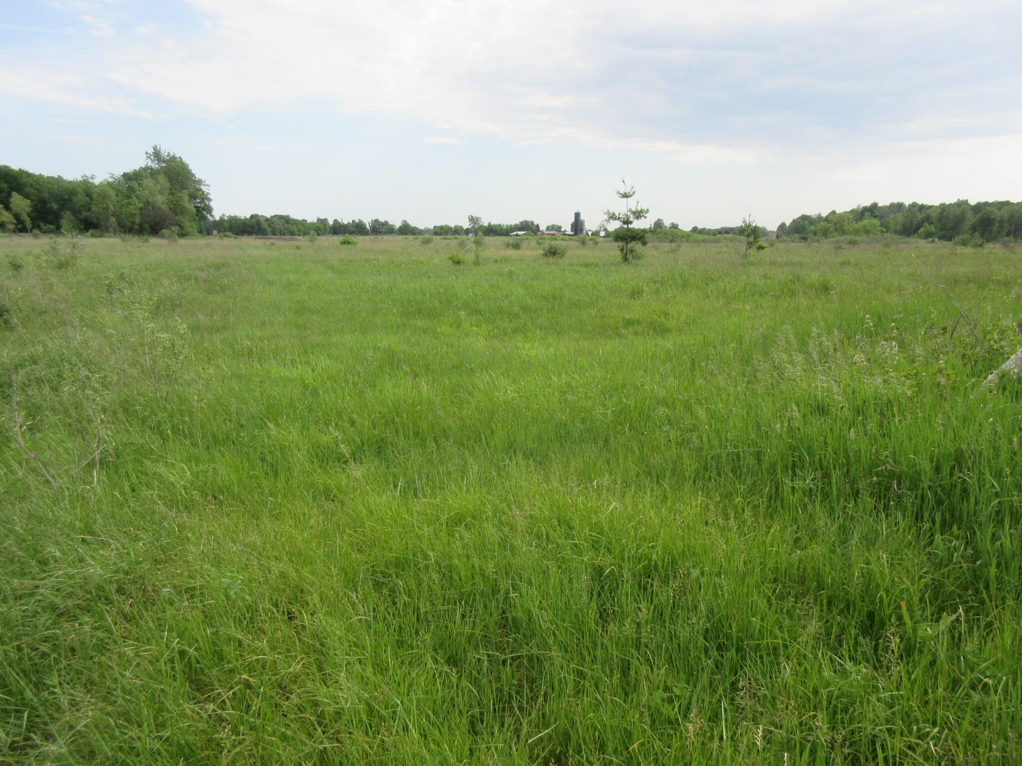 Six Musson Road Edmore, MI 48829 - Photo 7 of 8 IMG_0500