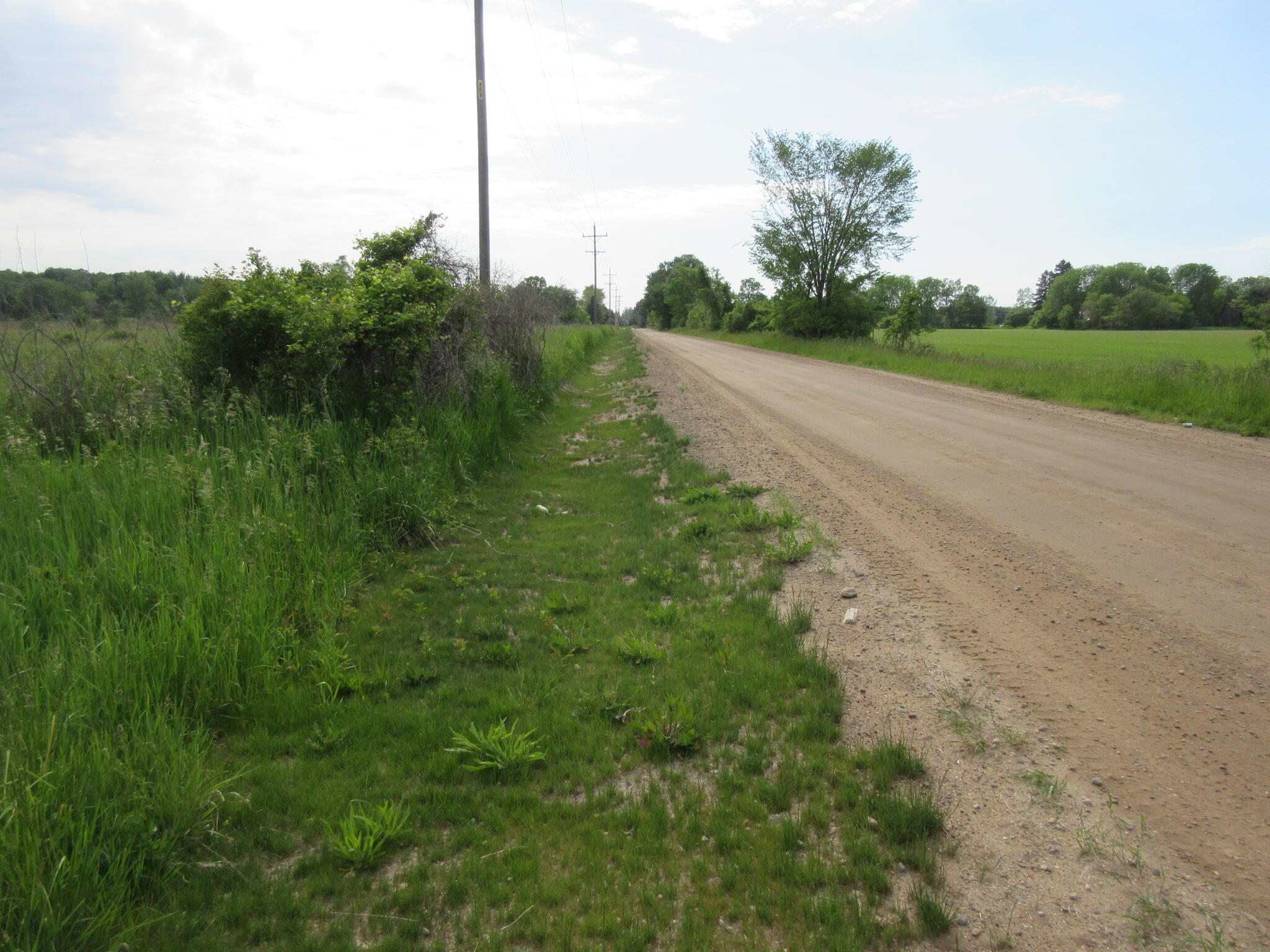 Six Musson Road Edmore, MI 48829 - Photo 8 of 8 IMG_0501