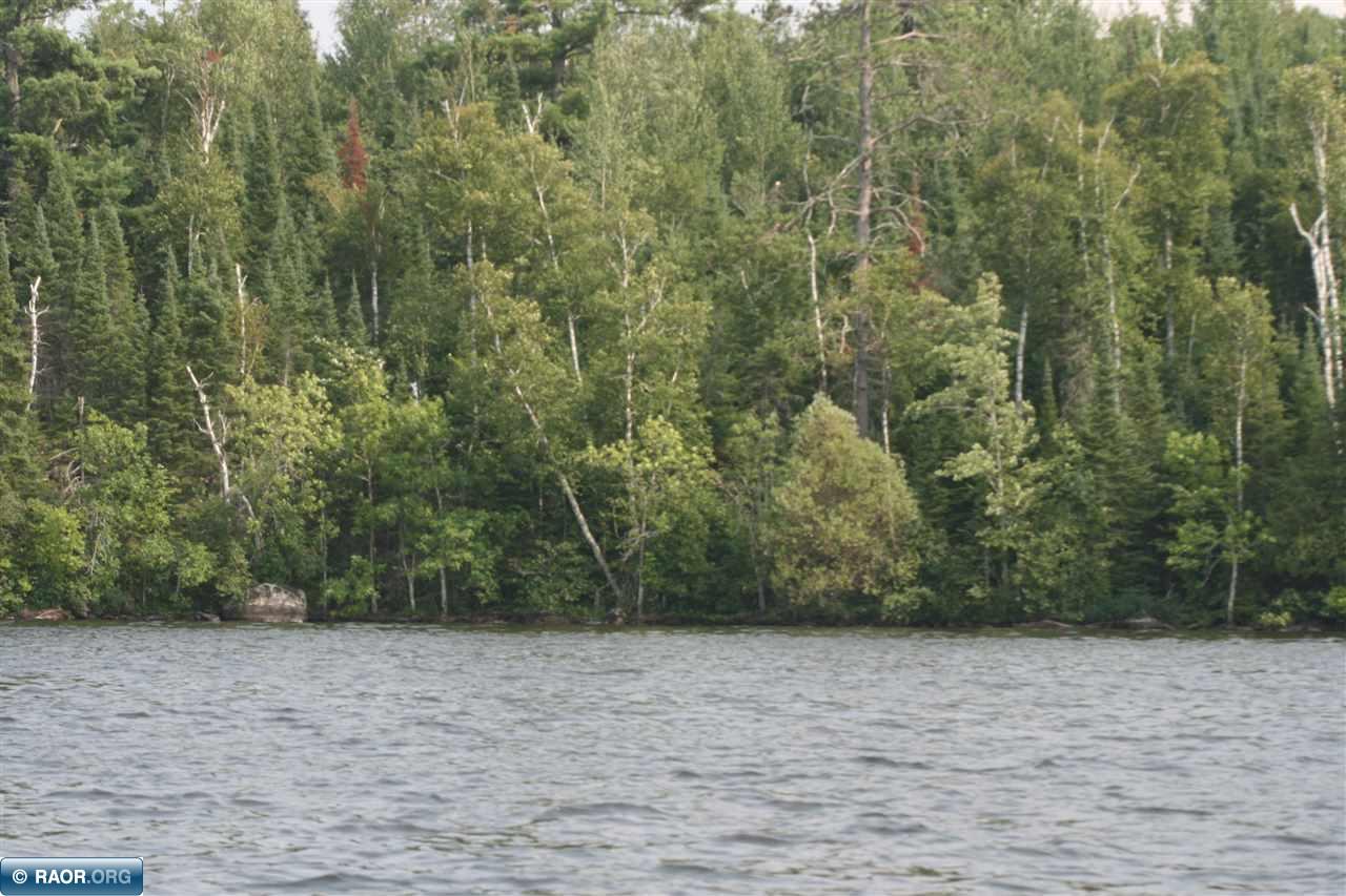 Tbd Timberlore Trail Cook, MN 55723 - Photo 4 of 13