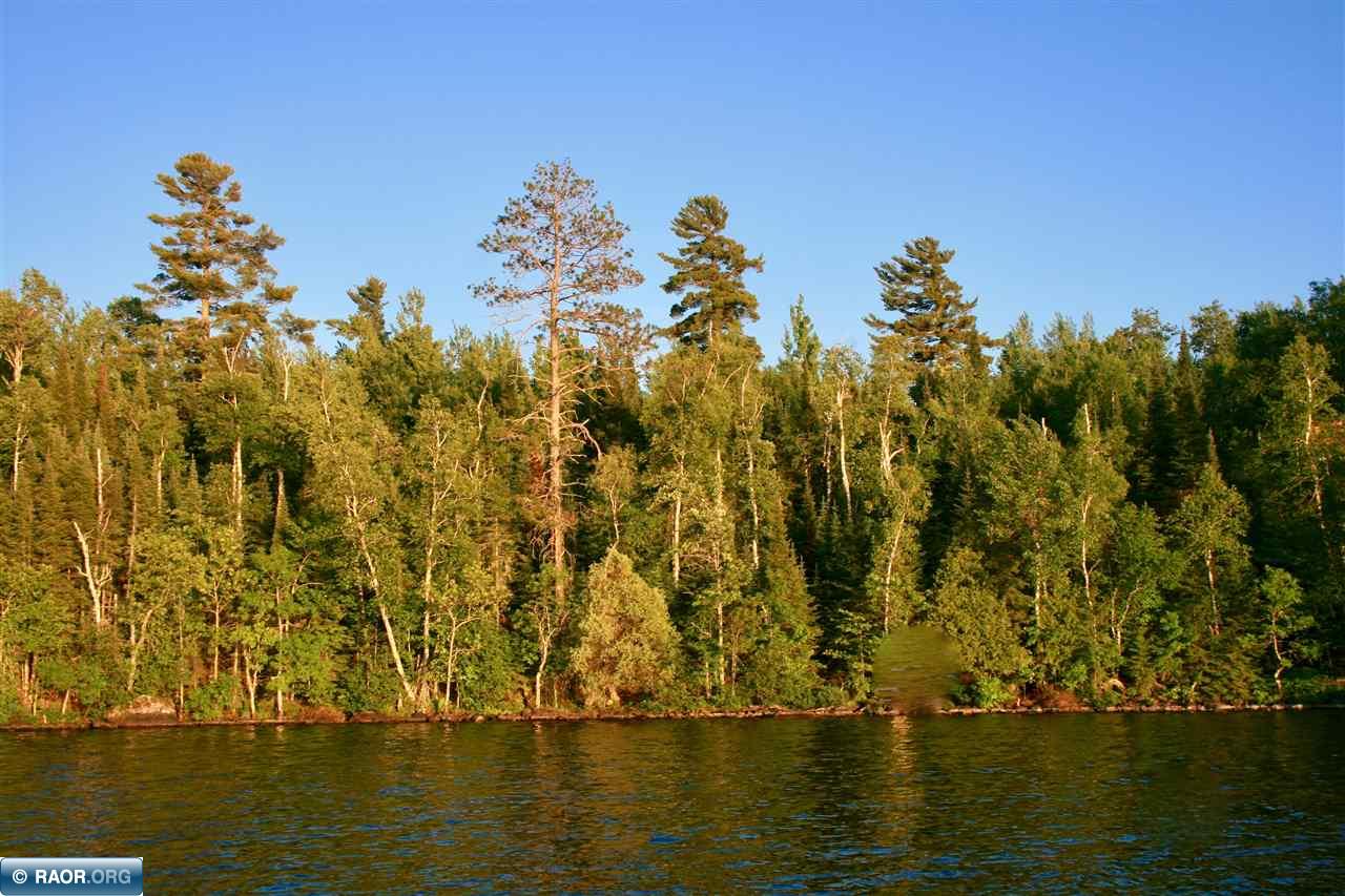 Tbd Timberlore Trail Cook, MN 55723 - Photo 5 of 13