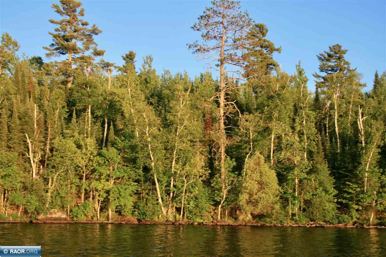 Tbd Timberlore Trail Cook, MN 55723 - Photo 7 of 13