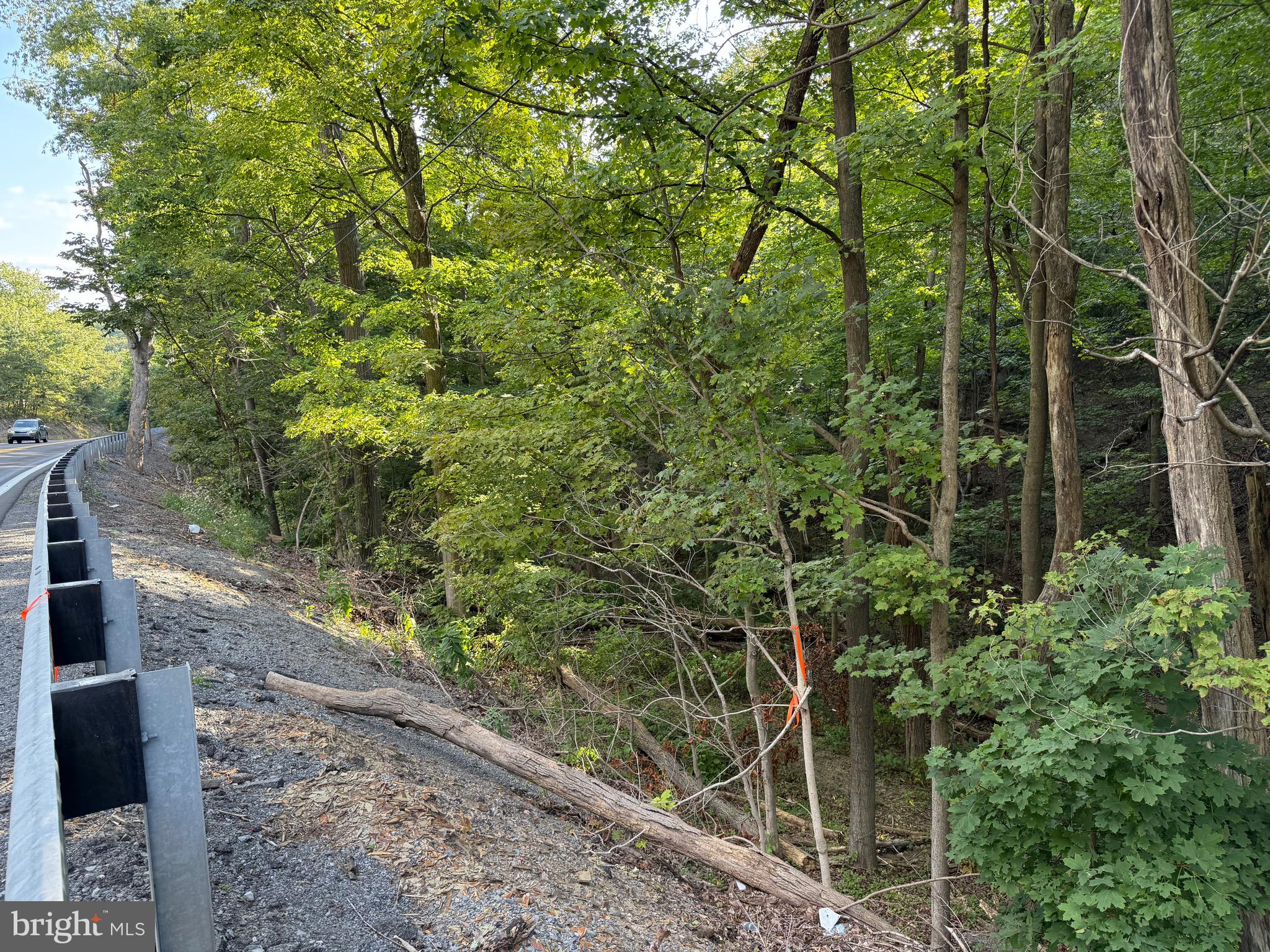Quaint Acres Lane Berkeley Springs, WV 25411 - Photo 11 of 61 a backyard of a house with lots of green space and a lake view
