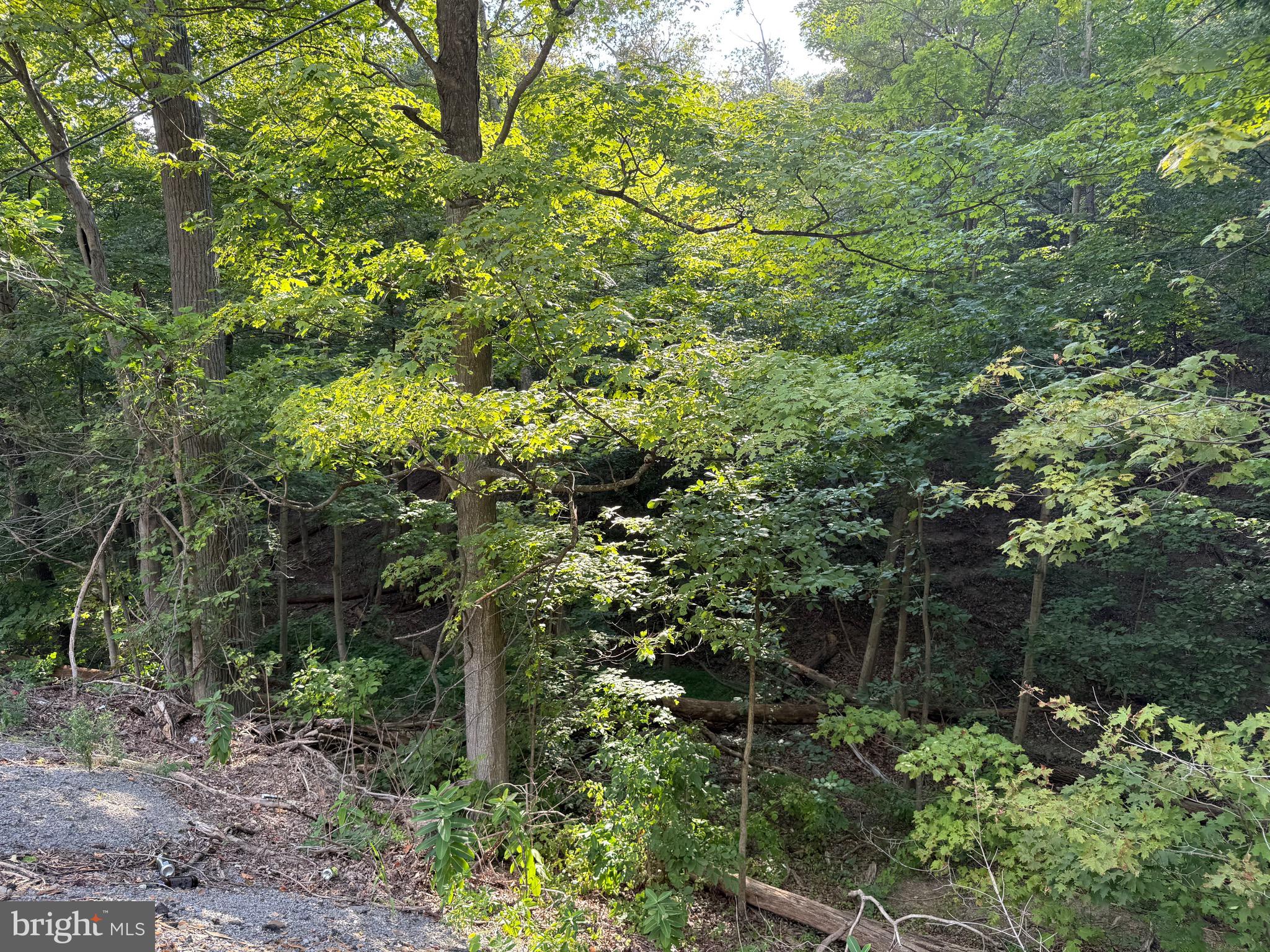 Quaint Acres Lane Berkeley Springs, WV 25411 - Photo 12 of 61 a view of a garden with plants