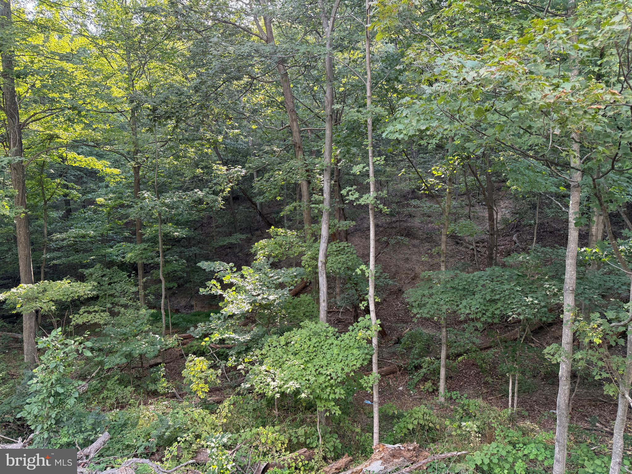 Quaint Acres Lane Berkeley Springs, WV 25411 - Photo 14 of 61