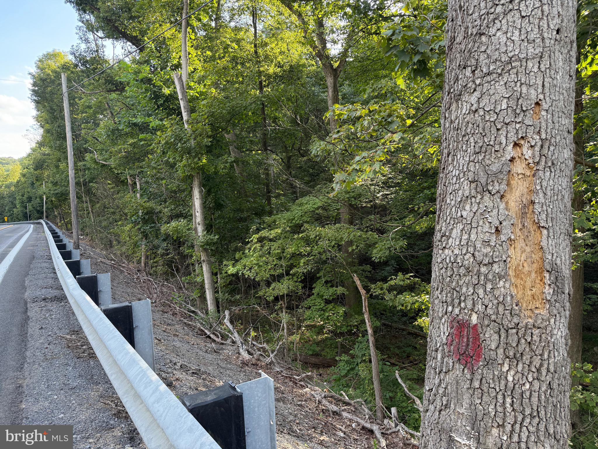 Quaint Acres Lane Berkeley Springs, WV 25411 - Photo 16 of 61 a view of a yard with plants