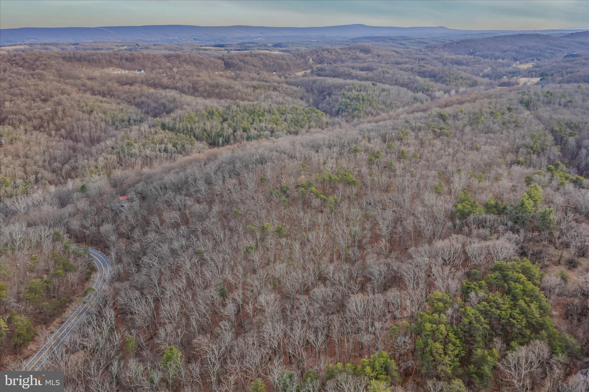 Quaint Acres Lane Berkeley Springs, WV 25411 - Photo 26 of 61 a view of a dry yard
