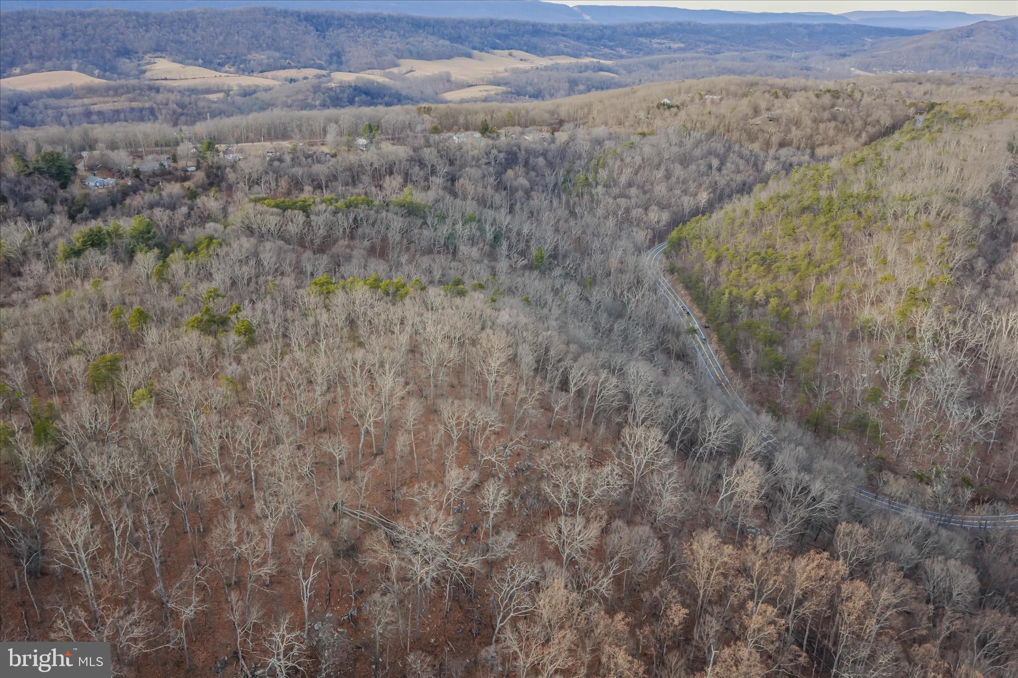 Quaint Acres Lane Berkeley Springs, WV 25411 - Photo 29 of 61 a view of a dry yard with trees