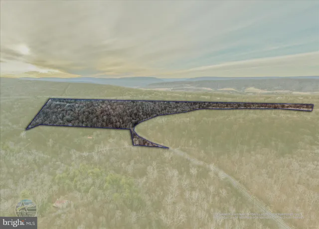 a view of a swimming pool and an outdoor seating