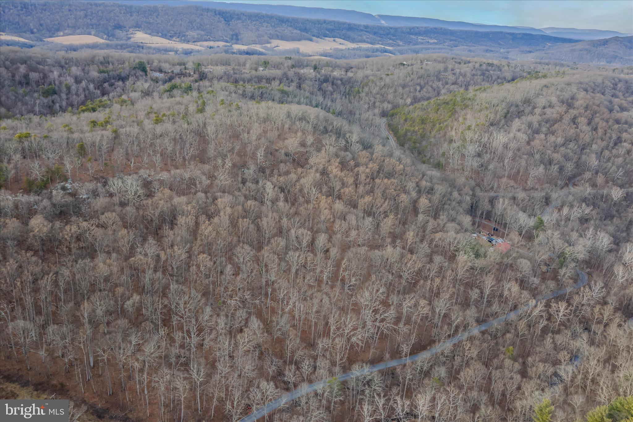 Quaint Acres Lane Berkeley Springs, WV 25411 - Photo 31 of 61 a view of a dry yard with trees