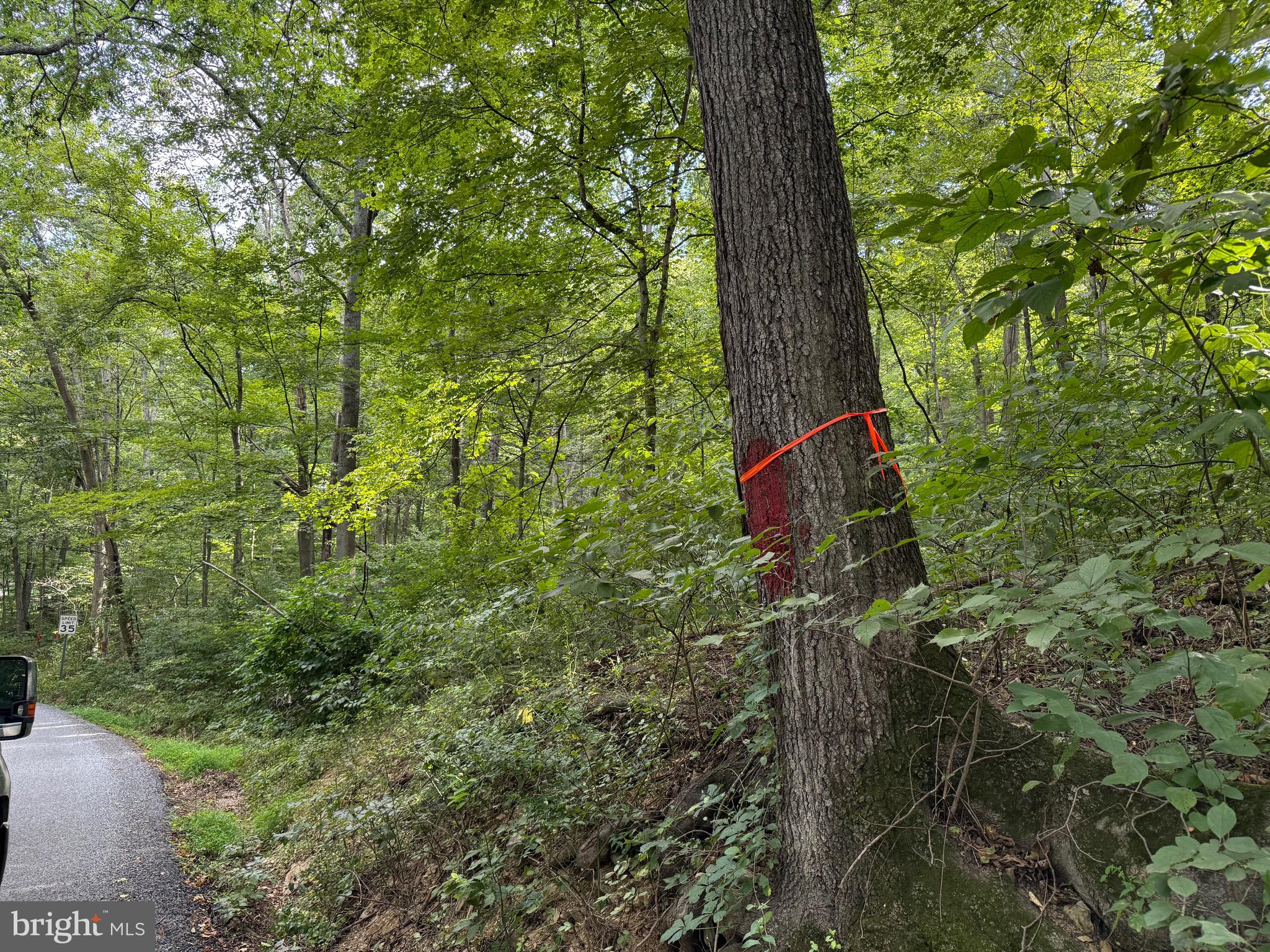 Quaint Acres Lane Berkeley Springs, WV 25411 - Photo 5 of 61 a backyard of a house with lots of green space and a fountain