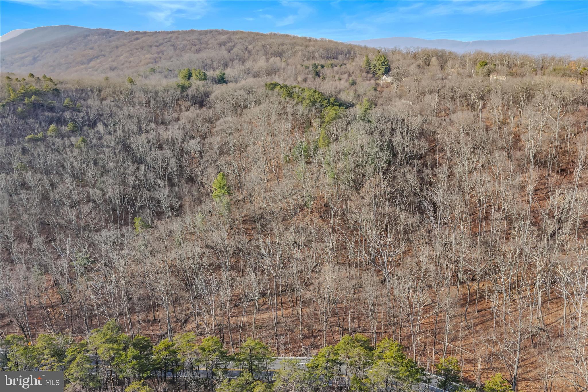 Quaint Acres Lane Berkeley Springs, WV 25411 - Photo 51 of 61 a view of a dry yard with mountains in the background