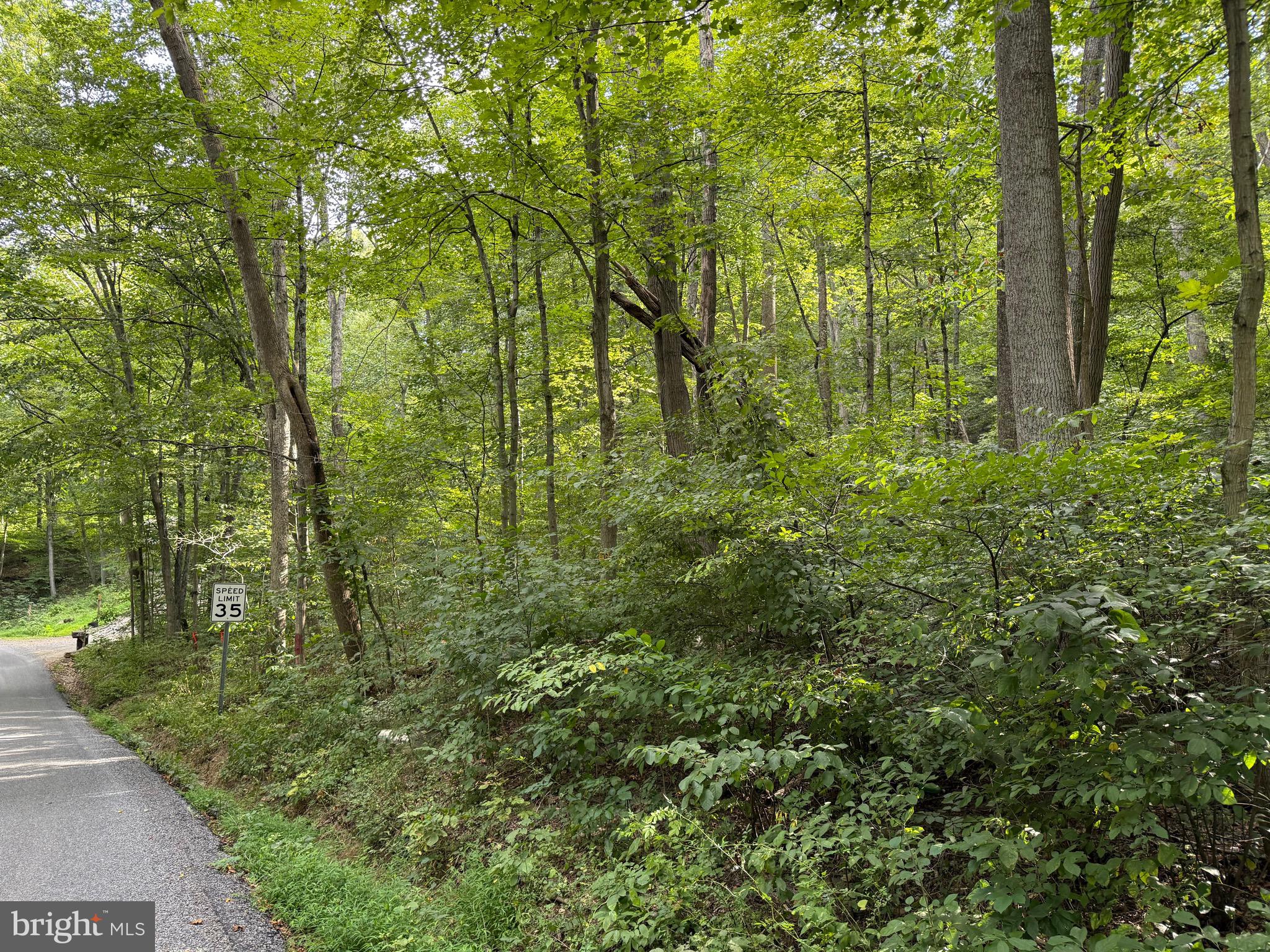 Quaint Acres Lane Berkeley Springs, WV 25411 - Photo 6 of 61 a view of a garden